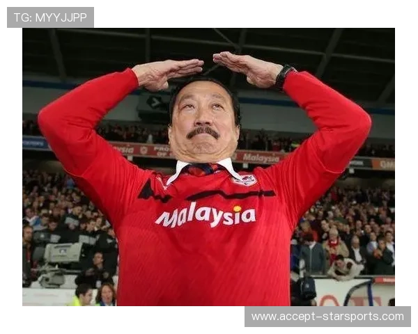 卡迪夫城俱乐部最新动态揭示球队转会与战略调整详情