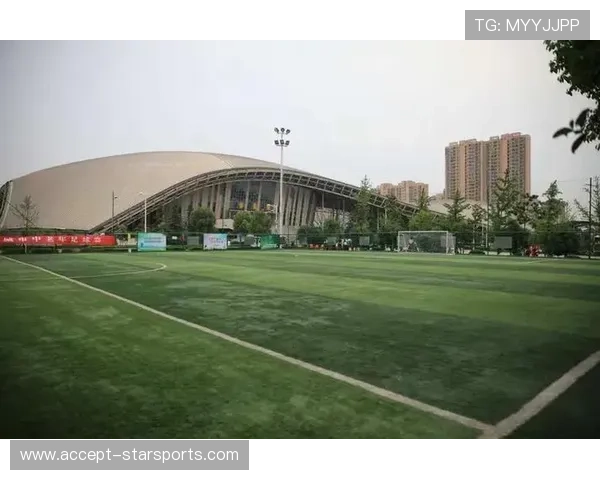 布拉德福德足球俱乐部近期发展与城市体育文化分析